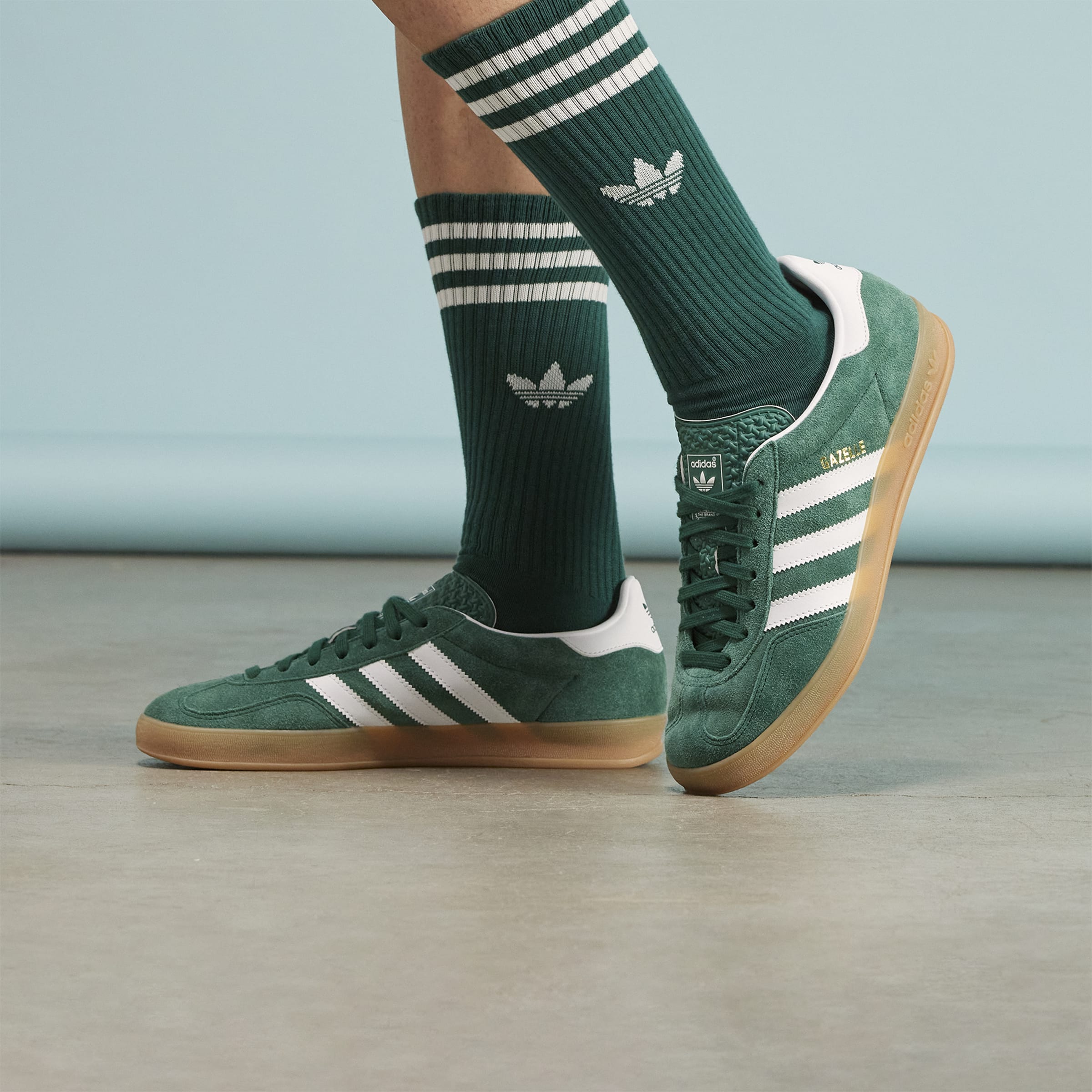 Gazelle Indoor